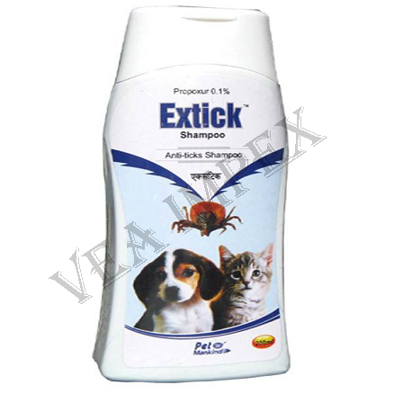 extick-shampoo