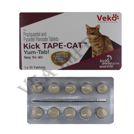 kick-tape-cat-tablet